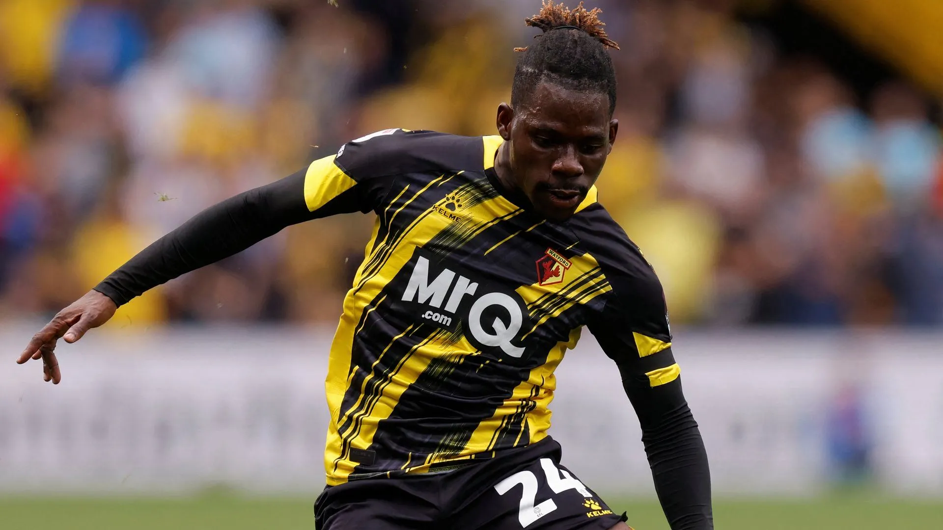 Tình hình chuyển nhượng tại Watford và giá chuyển nhượng cầu thủ