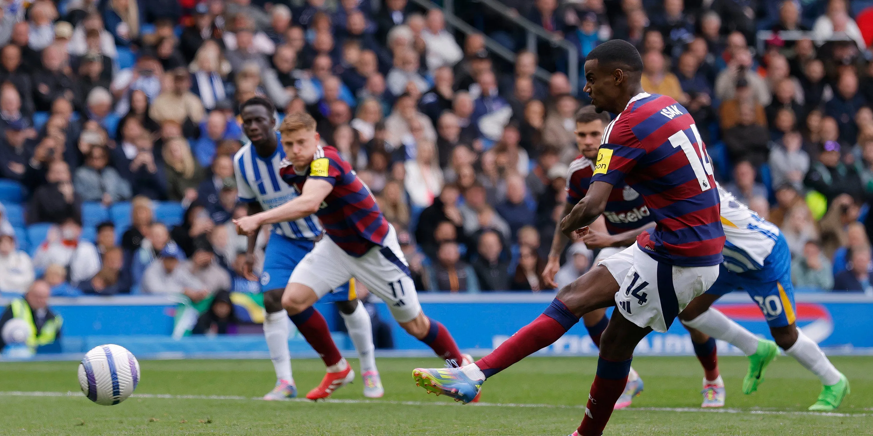 Alexander Isak thi đấu cho Newcastle United trên sân cỏ