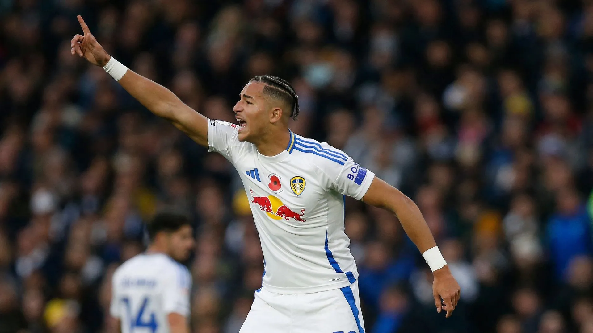 Tiền đạo Mateo Joseph của Leeds United, mục tiêu 10 triệu bảng của Birmingham City