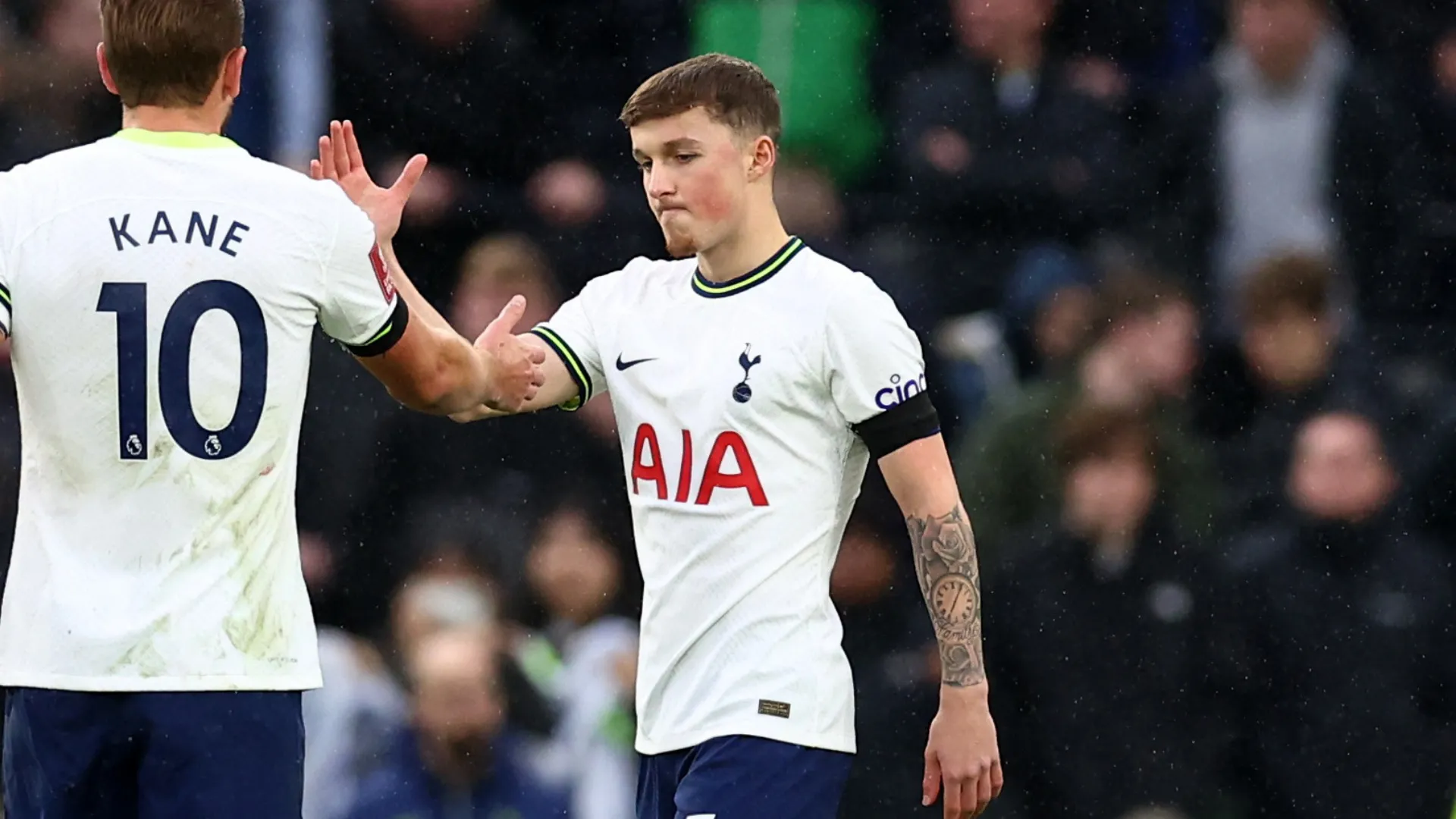 Alfie Devine trong màu áo Tottenham, cầu thủ trẻ tiềm năng chuẩn bị cho mượn.