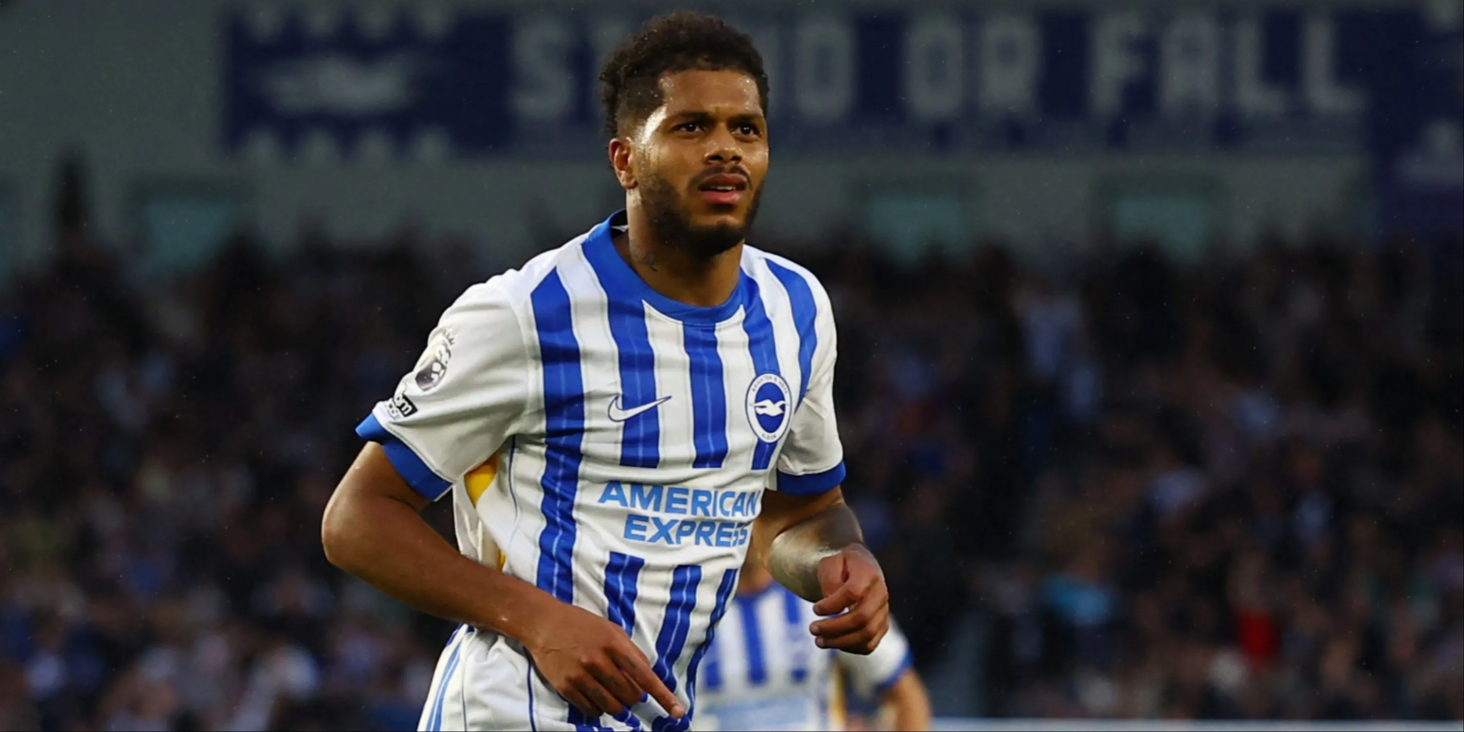 Tiền đạo Georginio Rutter dự kiến đá chính cho Brighton
